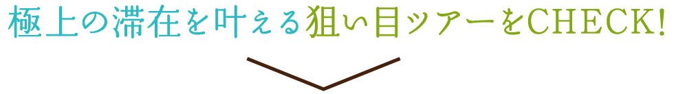 極上の滞在を叶える狙い目ツアーをCHECK！