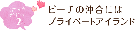 おすすめポイント２ ビーチの沖合にはプライベートアイランド