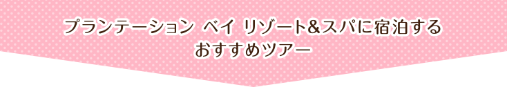 プランテーション ベイ リゾート＆スパに宿泊するおすすめツアー