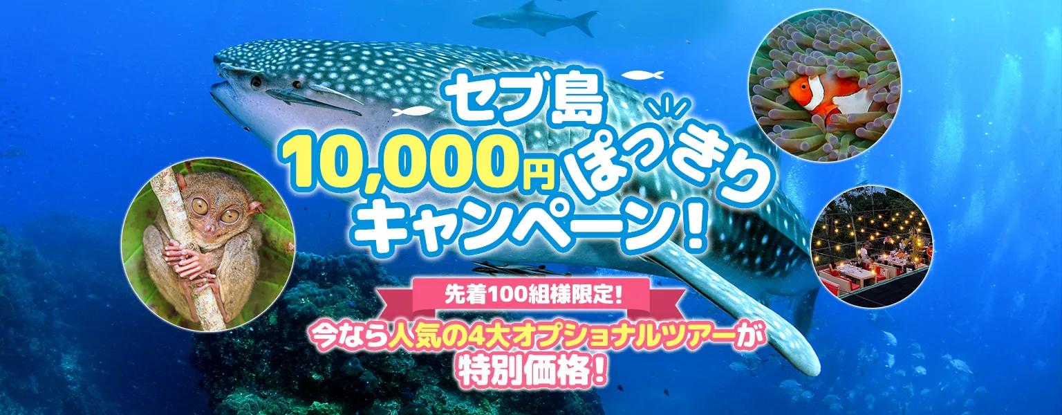 セブ島 10,000円ぽっきりキャンペーン！今なら人気の4大オプショナルツアーが特別価格！