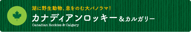 湖に野生動物、息をのむ大パノラマ！【カナディアンロッキー＆カルガリー】