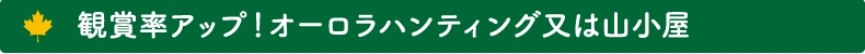 観賞率アップ！オーロラハンティング又は山小屋