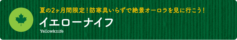 夏の2ヶ月間限定！防寒具いらずで絶景オーロラを見に行こう！【イエローナイフ】