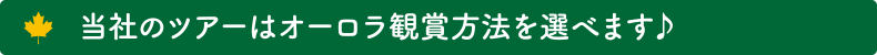 当社のツアーはオーロラ観賞方法を選べます