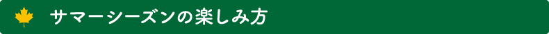 サマーシーズンの楽しみ方