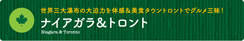 世界三大瀑布の大迫力を体感＆美食タウントロントでグルメ三昧！【ナイアガラ＆トロント】