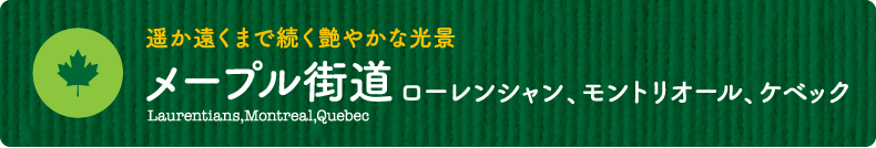 遥か遠くまで続く艶やかな光景【メープル街道　ローレンシャン、モントリオール、ケベック】