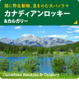 湖に野生動物、息を呑む大パノラマ【カナディアンロッキー＆カルガリー】