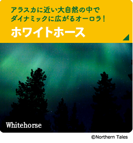 アラスカに近い大自然の中でダイナミックに広がるオーロラ！【ホワイトホース】