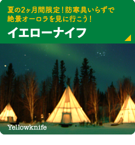 夏の2ヶ月間限定！防寒具いらずで絶景オーロラを見に行こう！【イエローナイフ】