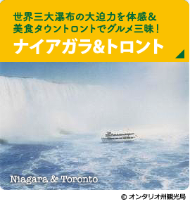 世界三大瀑布の大迫力を体感＆美食タウントロントでグルメ三昧！【ナイアガラ＆トロント】