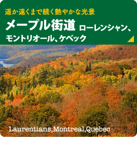 遥か遠くまで続く艶やかな光景【メープル街道 ローレンシャン、モントリオール、ケベック】