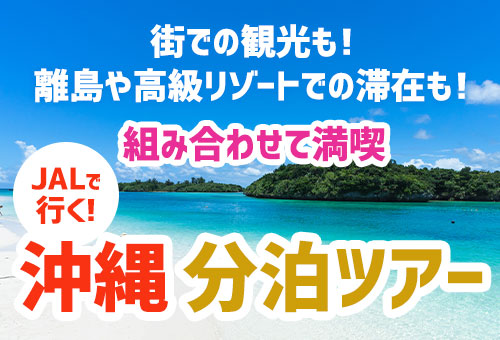 沖縄旅行 沖縄ツアー フリープラン トラベルスタンダードジャパン