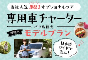 バリ島＆ジャワ島の観光は専用チャーターの現地オプショナルツアーで効率的に