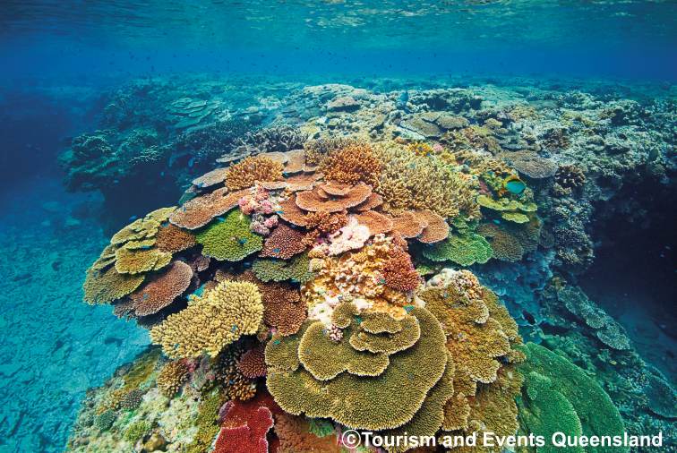 売り激安■ オーストラリア サンゴ礁 無人島 海 世界遺産 ★ 額縁付 Ａ３ 自然、風景