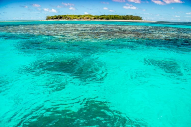 最新作限定SALE■ オーストラリア サンゴ礁 無人島 海 世界遺産★額縁付 A3ノビ 自然、風景