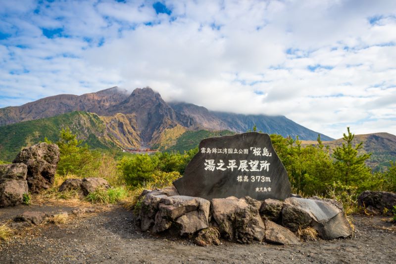 桜島 ベスト 安い シーズン