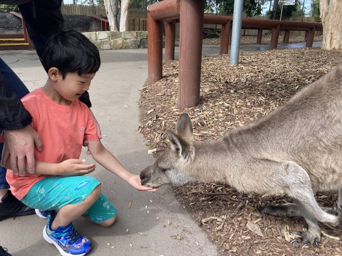 動物園と遊園地一体型施設に家族で大満足。