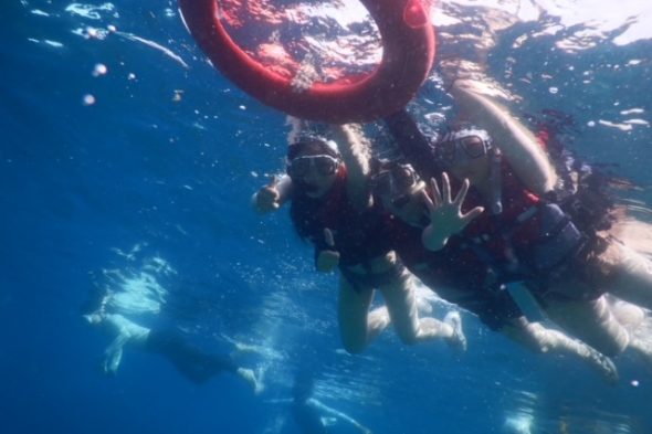 セブの海はきれいで、アクティビティもたくさん！