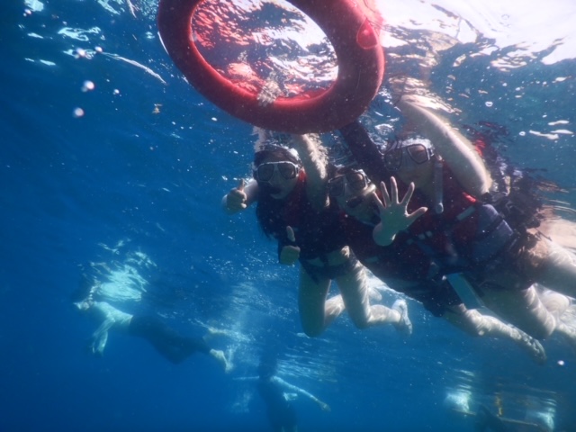 セブの海はきれいで、アクティビティもたくさん！