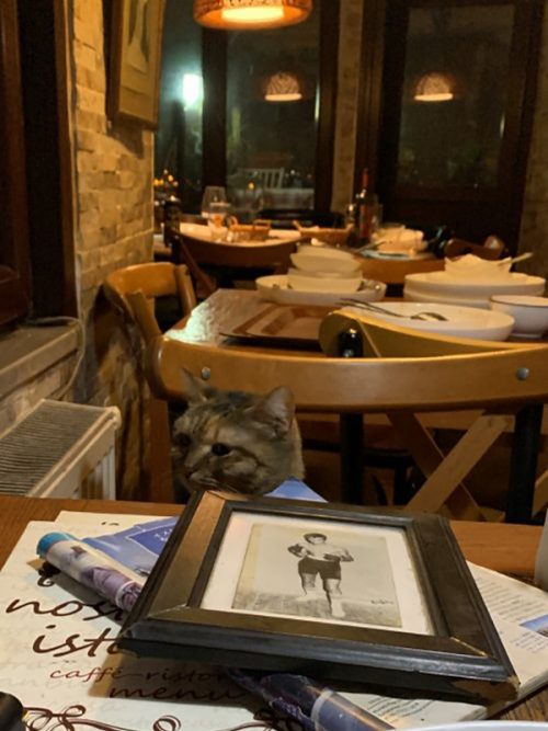 雰囲気の良いイタリア料理のお店