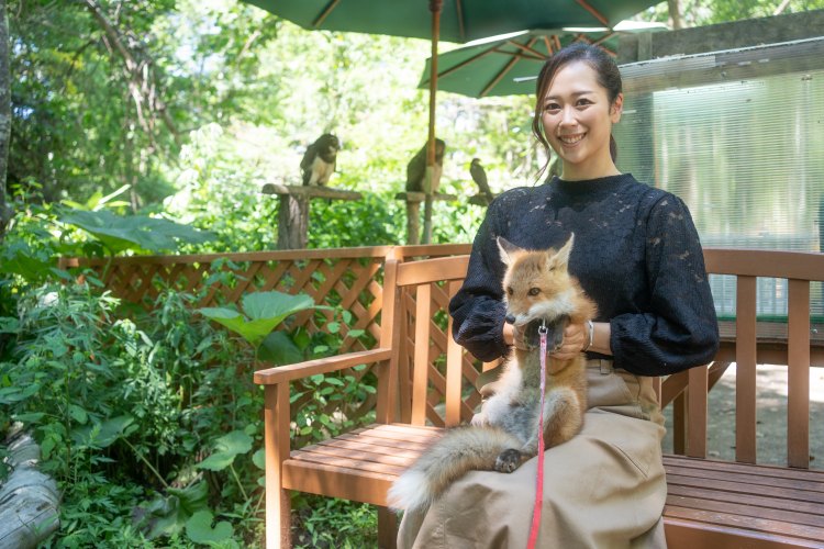 ノースサファリサッポロ 動物とのふれあい日本一な動物園でキタキツネと遊ぼう Edgy Travel