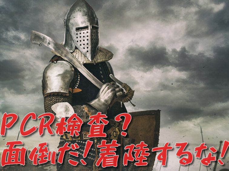 日本から入国できる国はどこ コロナ後入国規制緩和最新情報9月11日更新 ヨーロッパ編 トラベルスタンダードジャパン