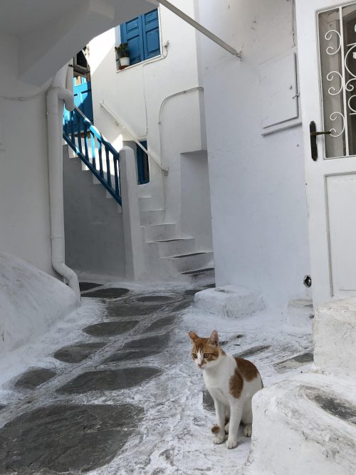 お客様の ギリシャ ミコノス島 アテネ 友人旅行 女子旅旅行記 Vol 499 トラベルスタンダードジャパン