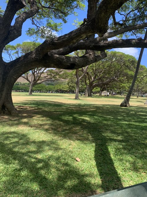 公園でのんびり