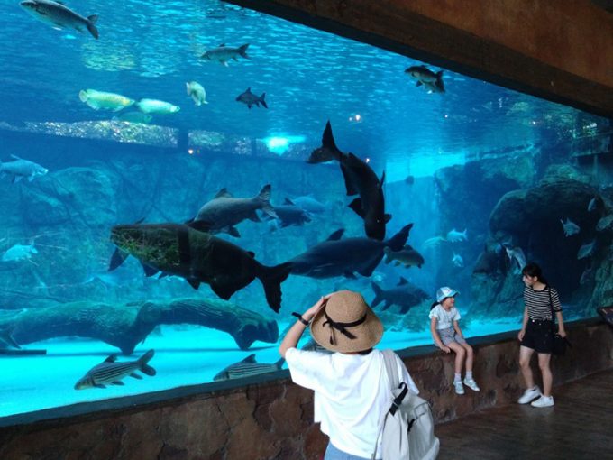 リバーワンダーの水族館