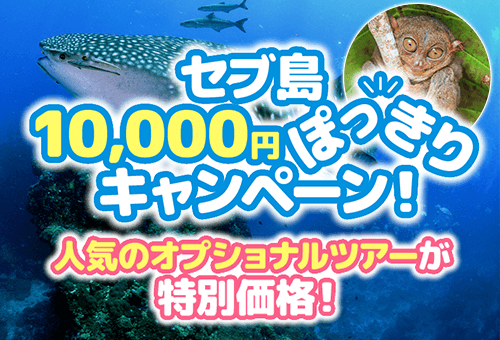 セブ島4大オプショナルツアー特別価格